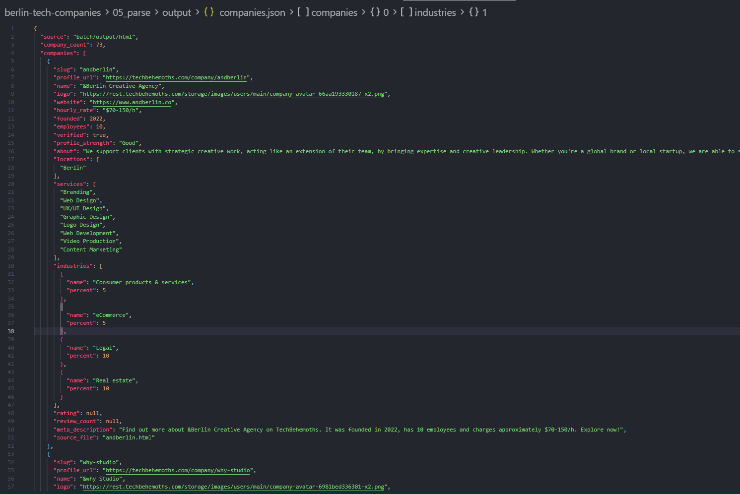 Parsed company JSON object