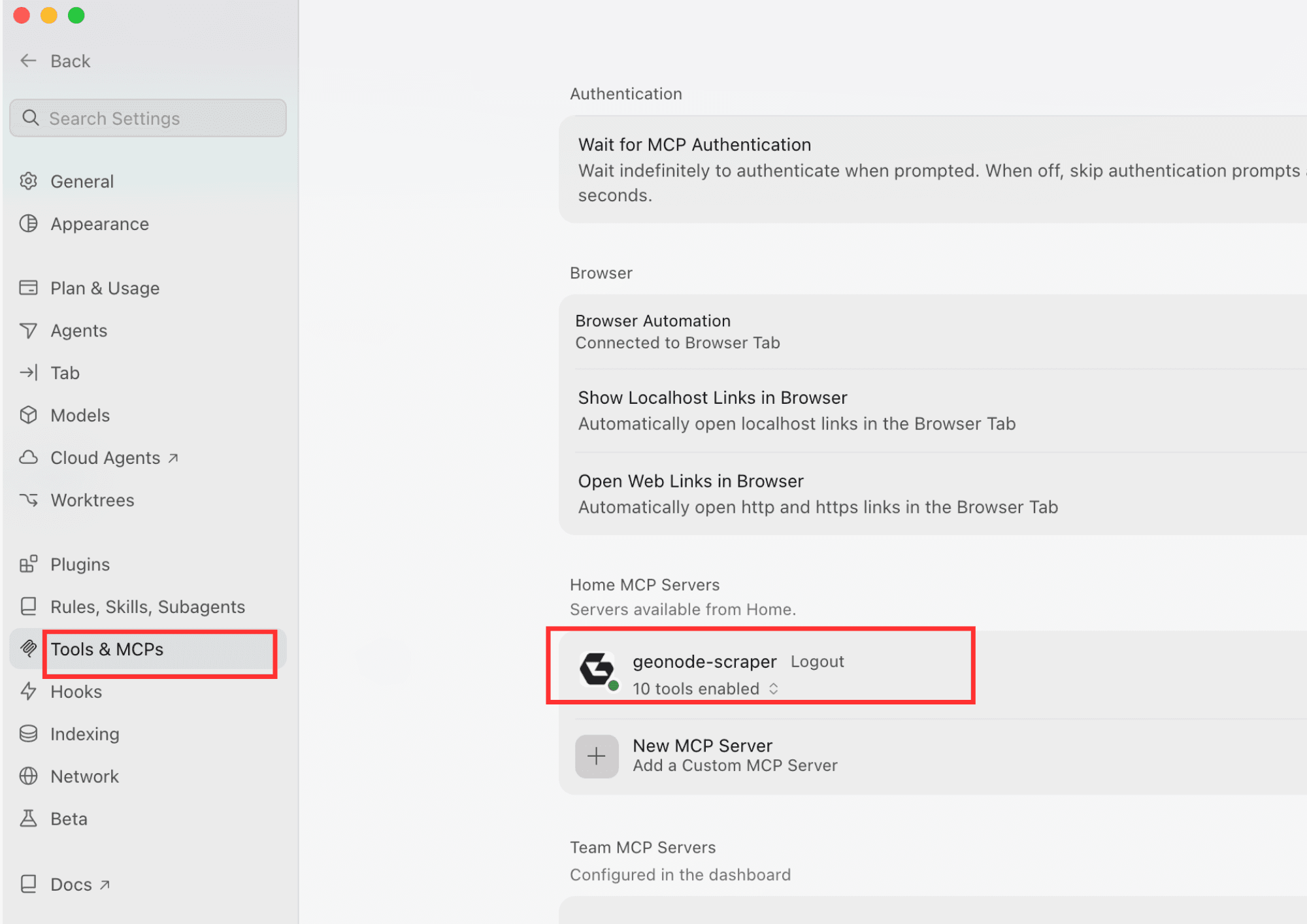 Verify Custom MCP