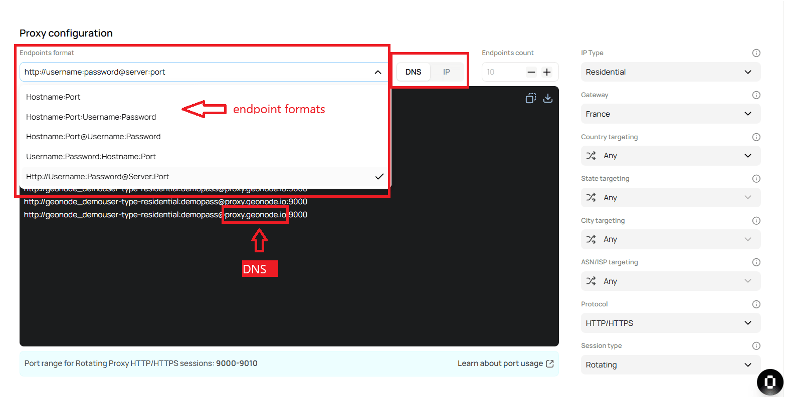 Choosing an Endpoint Format