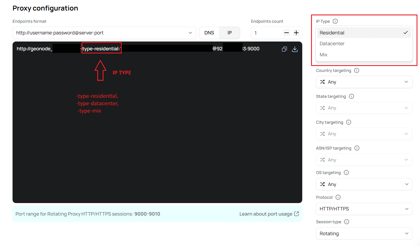 IP Type dropdown and username parameter in generated endpoint