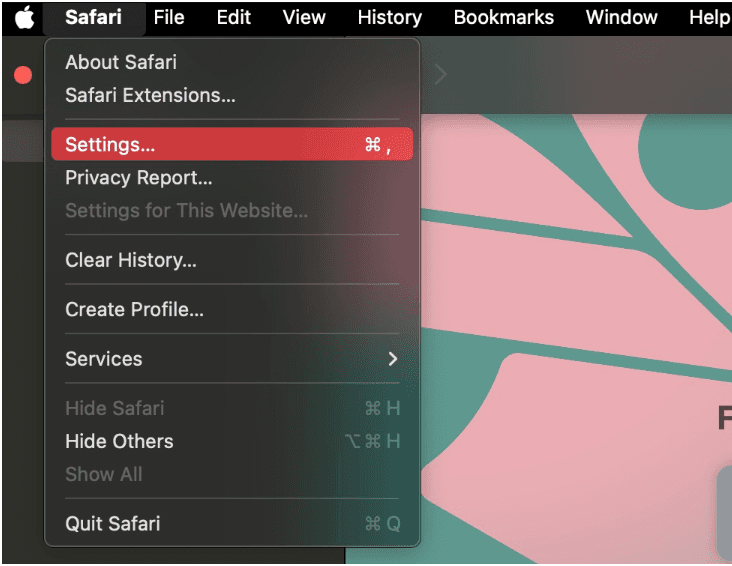 Safari Settings