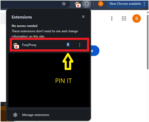 Pin the Extension