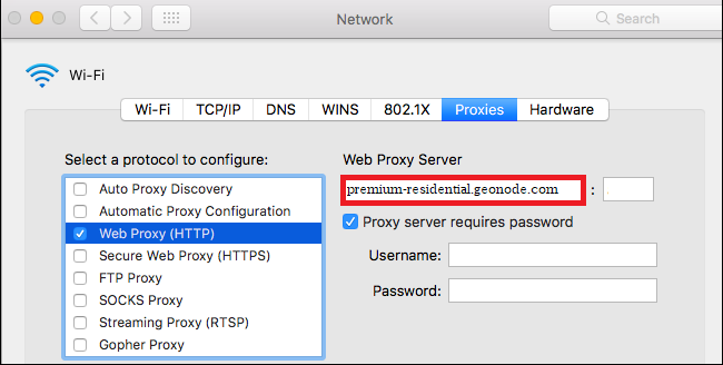 MacOS Input Web Proxy Server